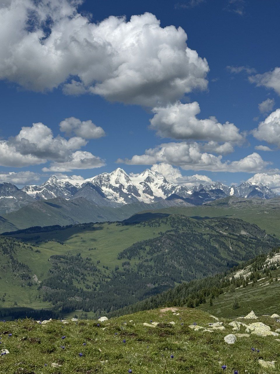Панорама Белухи